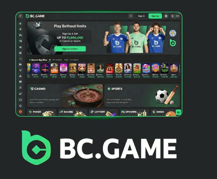 Exploring BC.Game Crypto Casino in Argentina A New Frontier in Online Gaming